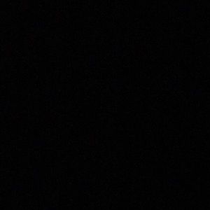 Meet your Posher, Abigail